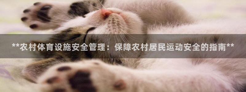 必一体育登录入口AP