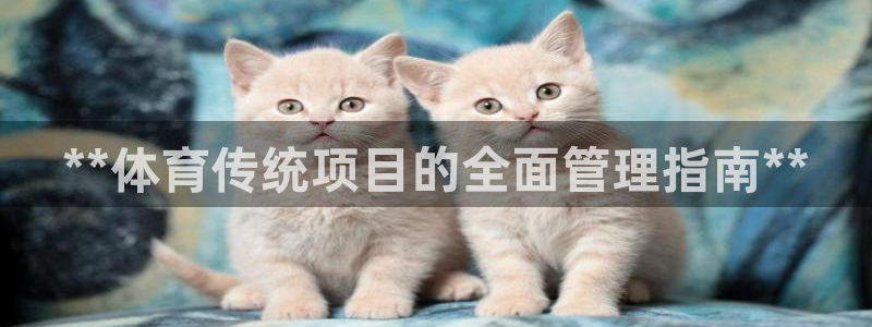 必一体育官方入口：*