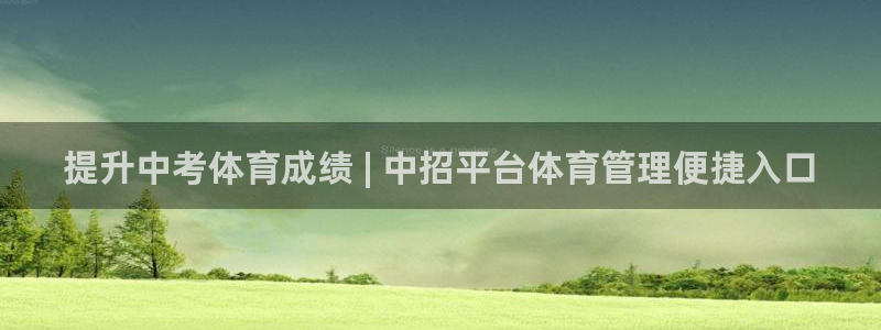 必一体育app平台下