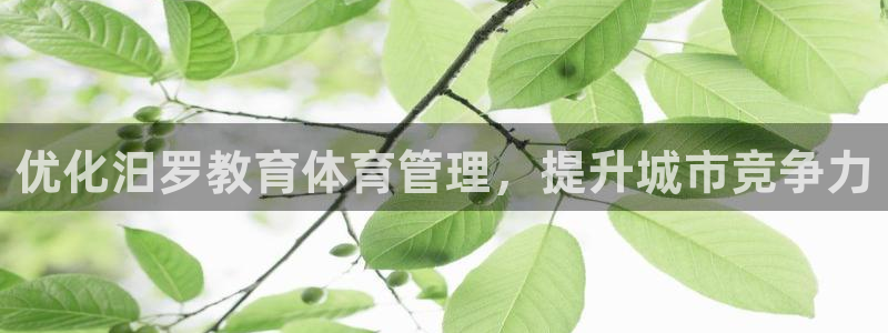 必一体育验证码：优化