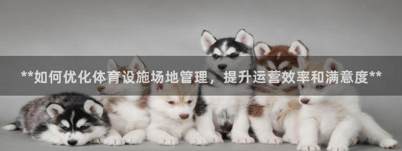 必一体育官方网站入口