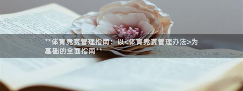 必一体育sport网