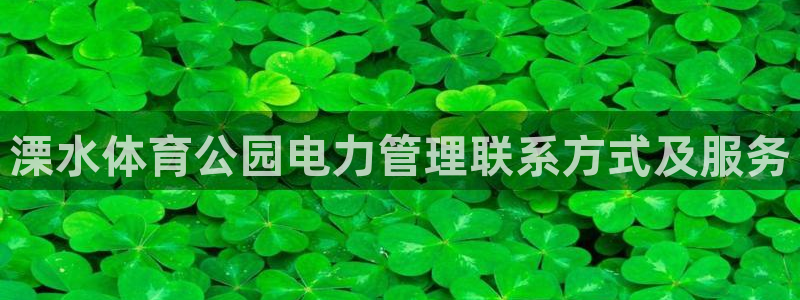 必一体育登入：溧水体