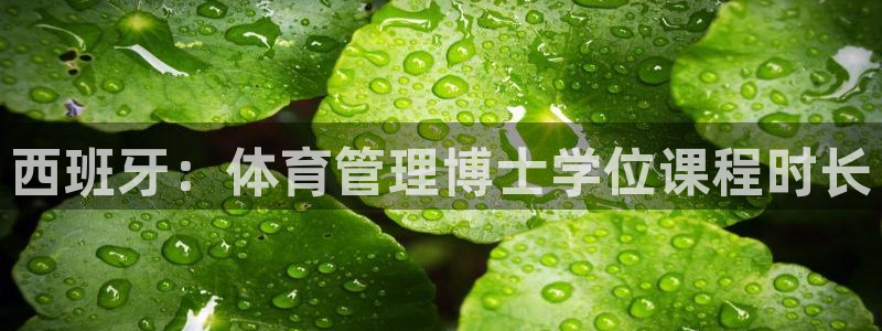 必一体育sport装