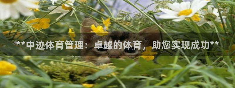 必一体育：**中迹体