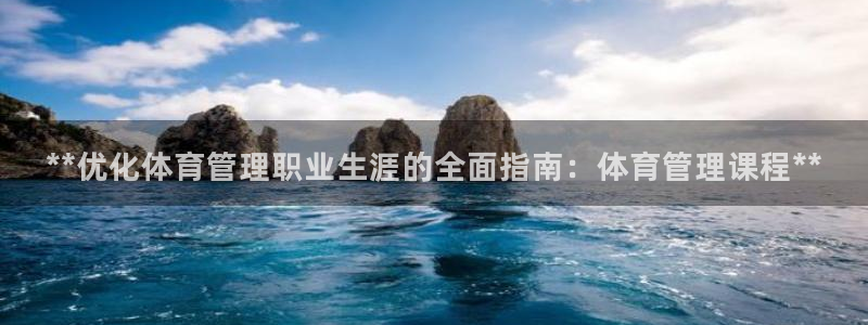 必一体育官方网站入口