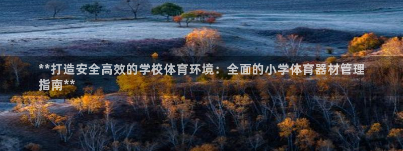 必一运动体育官网下载