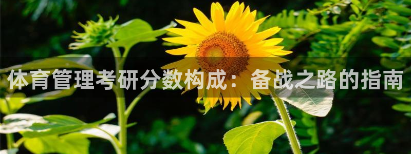 Bsport体育必一