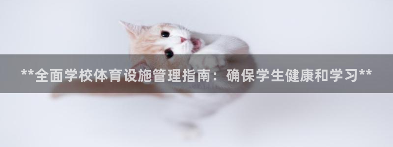 必一体育官网网站：*