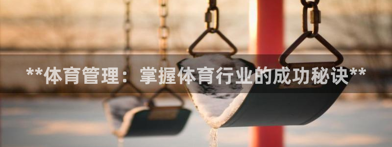 必一体育手机下载：*