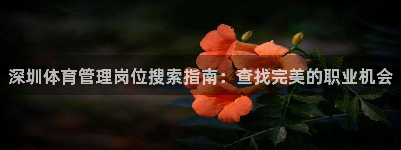 必一运动·体育：深圳