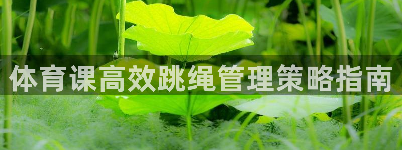 必一体育app下载最