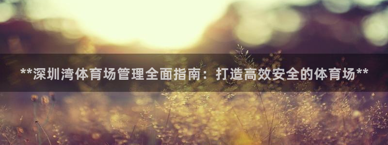 b体育官网下载入口a