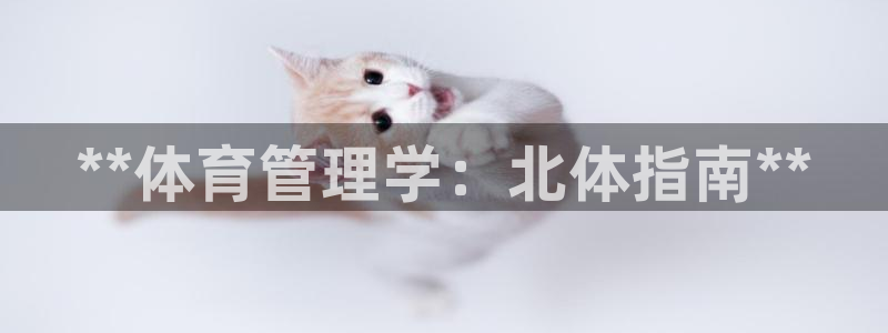 必一体育手机下载：*