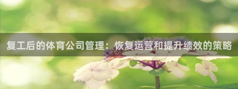 必一体育运动app下