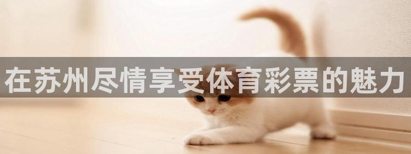 必一运动体育官网下载