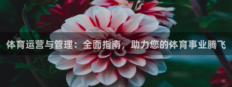 必一体育在哪下：体育