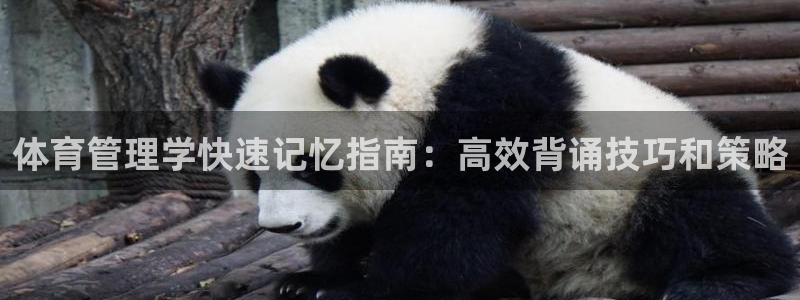 必一体育在线玩：体育