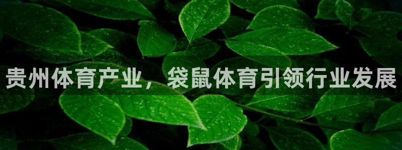 必一运动 b 体育素