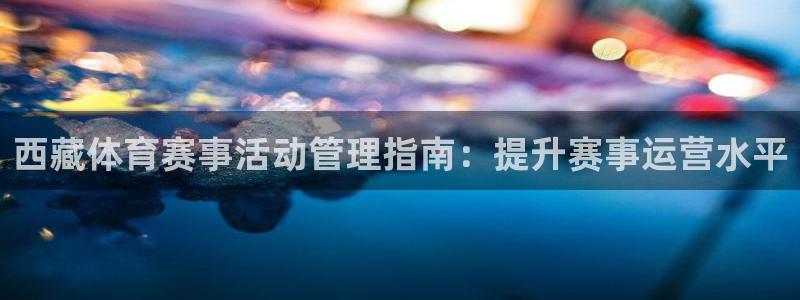 氵必一一厂一：西藏体