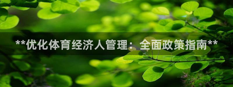 必一体育app官方下