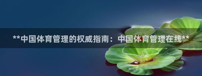 必一体育下载移动版：