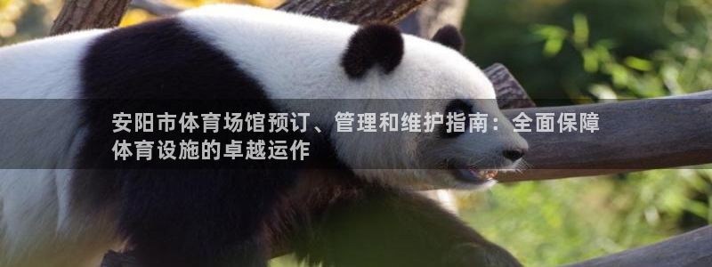 必一体育在线玩：安阳