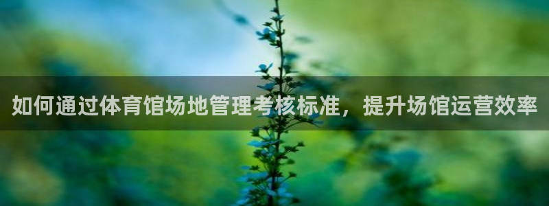 必一体育平台：如何通