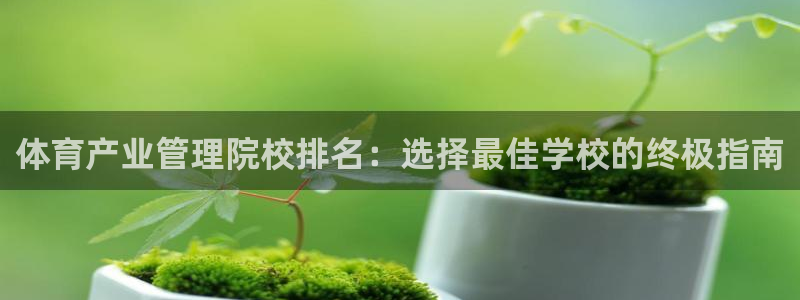 Bsport体育必一