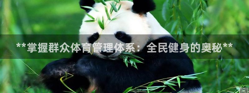 必一体育网页登录版官