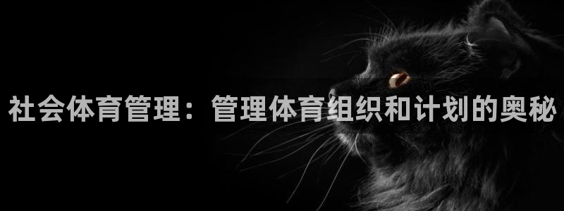 必一体育官网网站：社