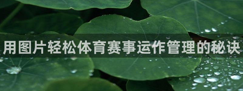 必一运动官网装机吧：