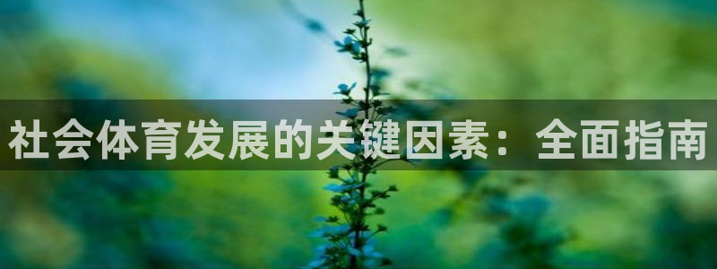 必一体育bsport2023-04-21：社会体育发展的关键