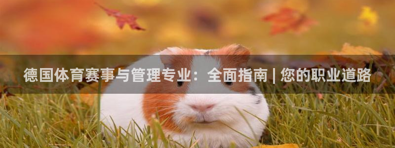 必一体育bsport