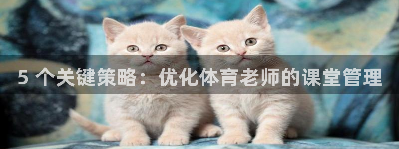 必一体育运动平台官网