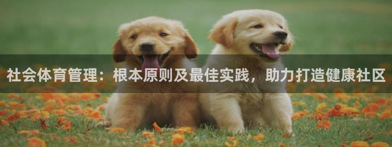 必一体育网页版登录：