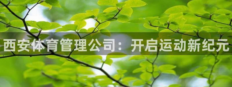 必一体育sport：