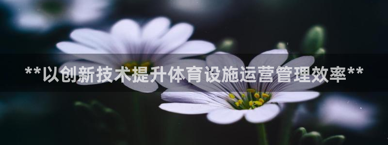 必一体育合法吗：**