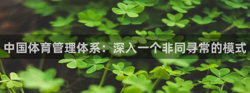 必一体育登录入口：中