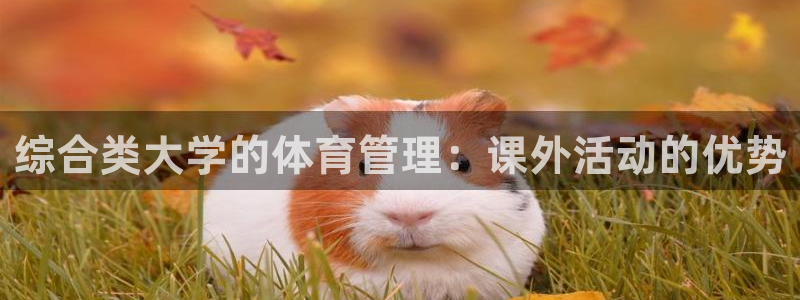 必一体育黑钱：综合类