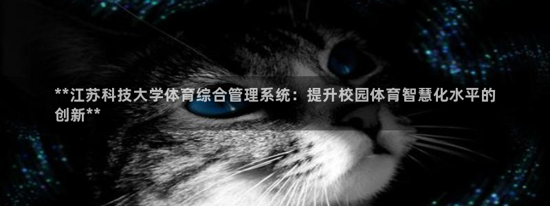 必一运动sport爱