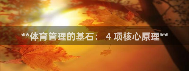 必一体育app下载装