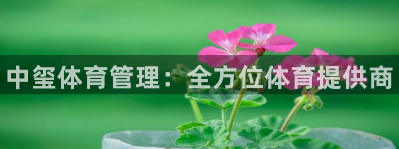 必一体育运动app：