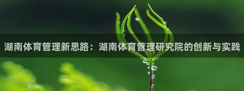 必一体育登录入口：湖