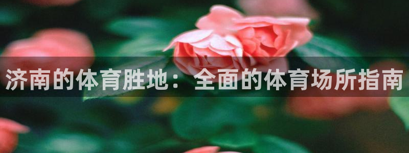 必一体育sport官