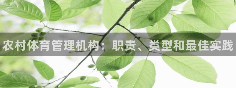 必一体育运动app下