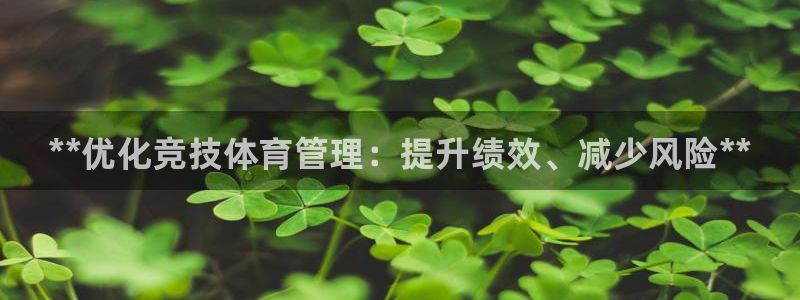 必一体育在线下载：**优化竞技体育管理：提升绩效、减少风险*
