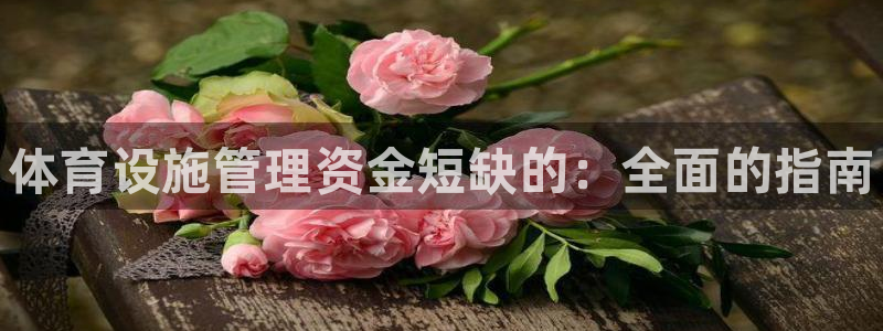 氵必一一厂一：体育设施管理资金短缺的：全面的指南