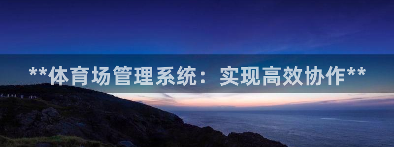 必一体育官方网站入口