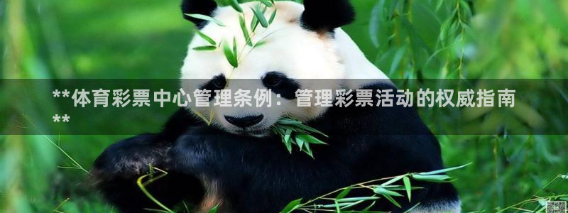 必一运动体育官网下载